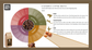 Volterra Coffee Beans